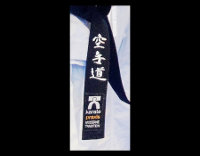 news-2016-02-20-sv-lehrgang-01-karate-praxis-guertel.jpg