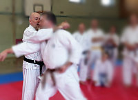 news-karate-kyusho-ralf-arlitt-im-karate-dojo-montabaur-april-2015-ralf.jpg